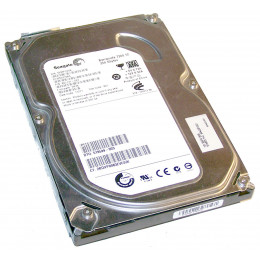 Жесткий диск 3.5 Seagate 250Gb ST3250318AS фото 1