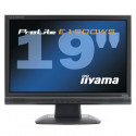 Монитор 19" IIYAMA ProLite E1900WS - Class B