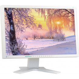 Монитор 22 Eizo FlexScan S2202W - Class B фото 1