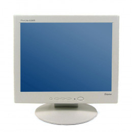 Монитор 17 IIYAMA ProLite E385 - Class B фото 1